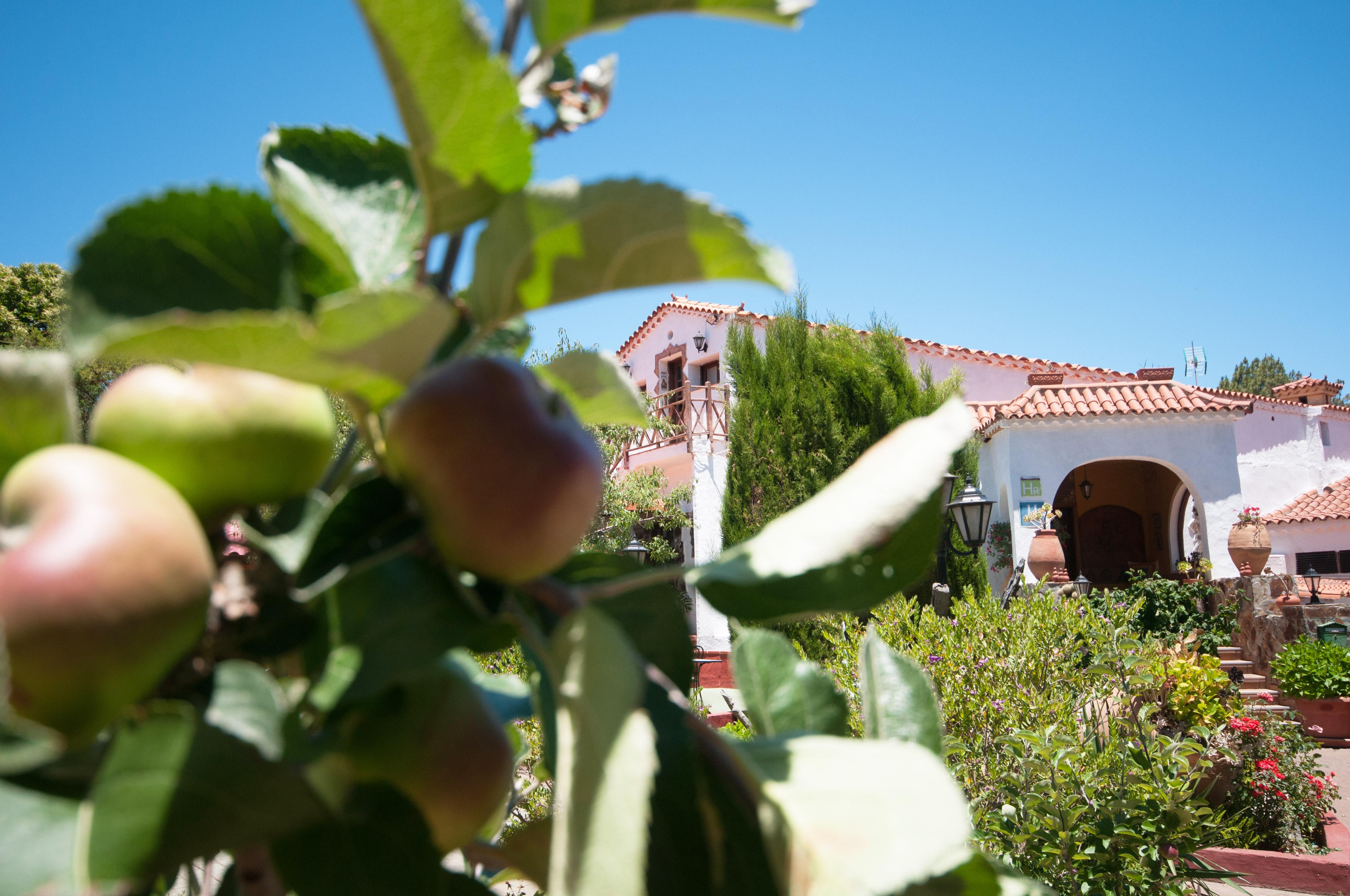 Hotel Rural El Refugio - Adults Only Tejeda  Exterior photo
