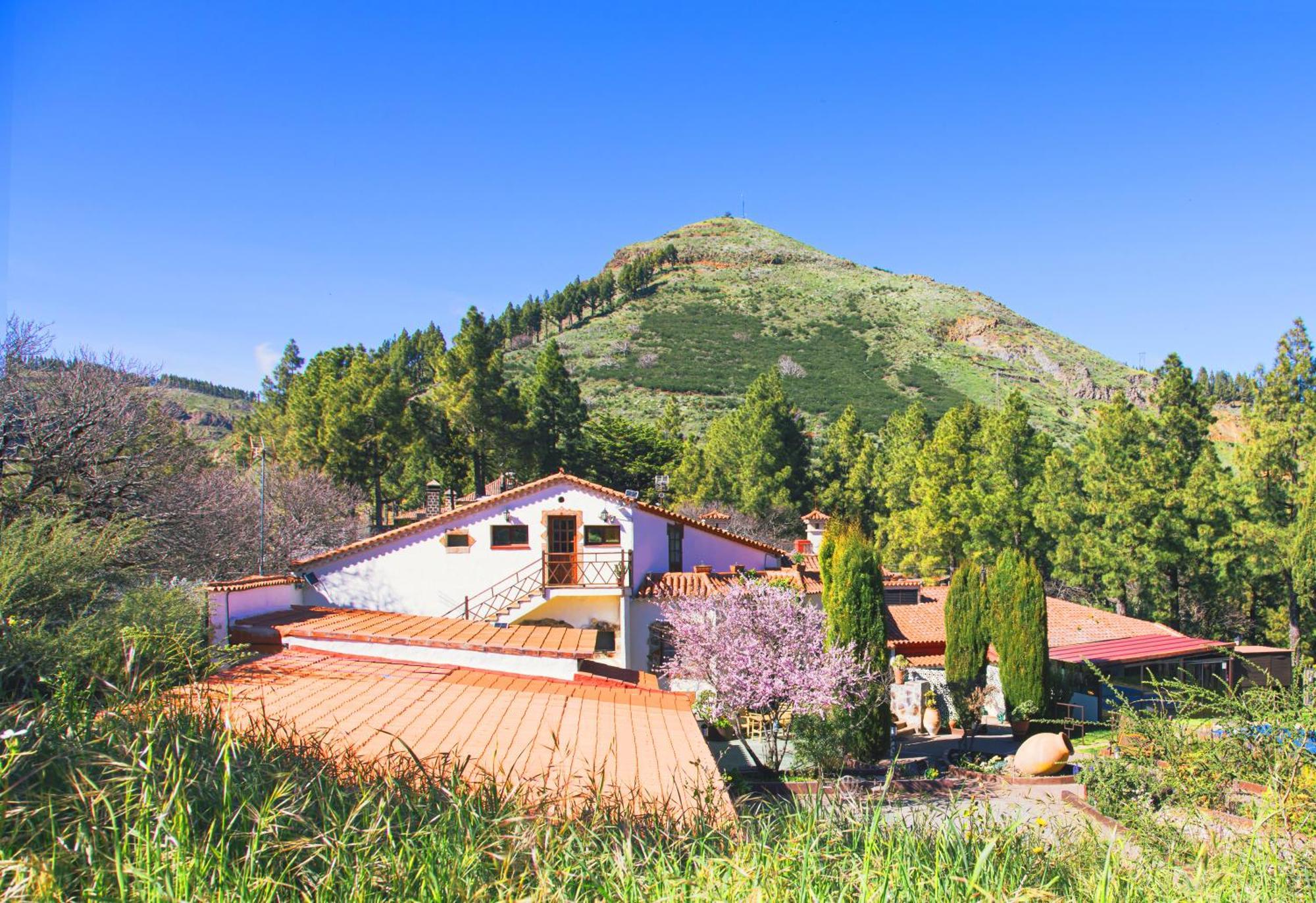 Hotel Rural El Refugio - Adults Only Tejeda  Exterior photo